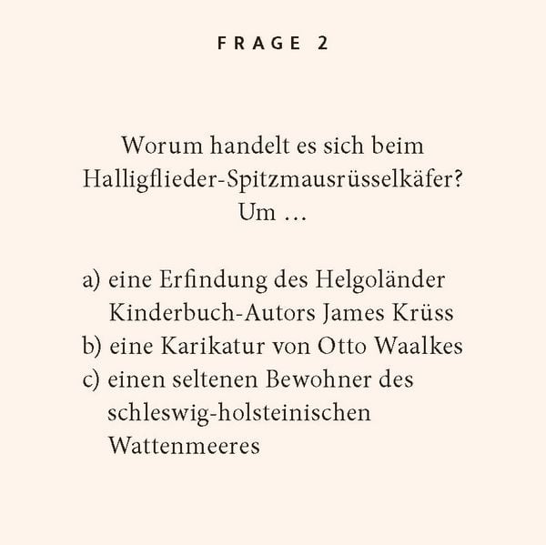 Produktbild: Nordseek&uuml;ste-Quiz