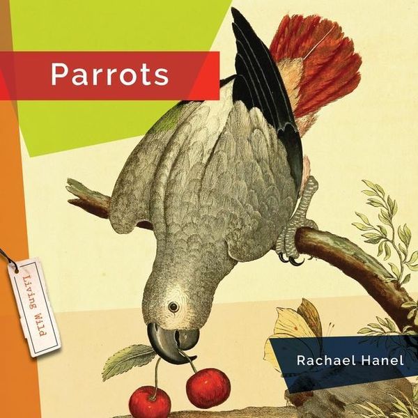 Produktbild: Parrots