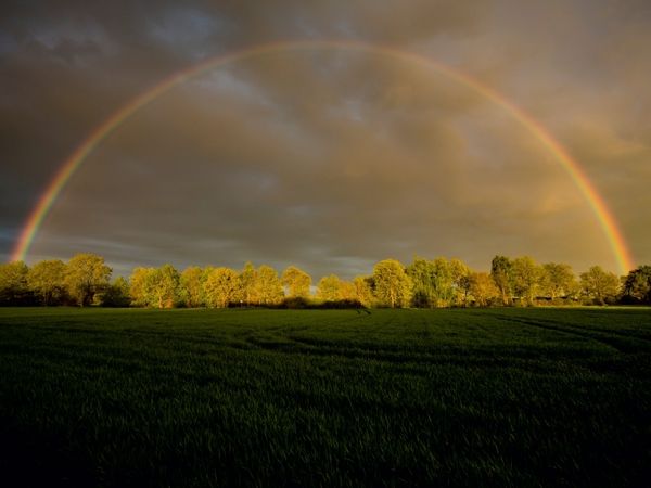 Produktbild: CALVENDO Puzzle Regenbogen in Klein Wesenberg | 1000 Teile Lege-Gr&ouml;&szlig;e 64x48cm Foto-Puzzle f&uuml;r gl&uuml;ckliche Stunden