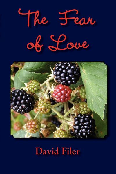 Produktbild: The Fear of Love