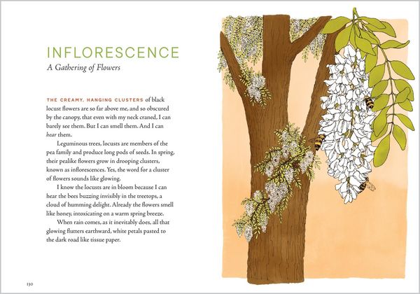 Produktbild: A Forest Language