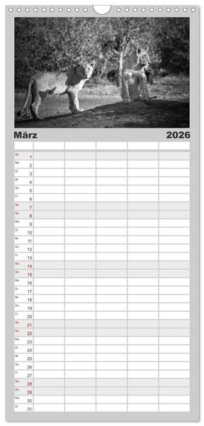 Produktbild: Familienplaner 2026 - L&ouml;wen schwarz wei&szlig; mit 5 Spalten (Wandkalender, 21 x 45 cm) CALVENDO