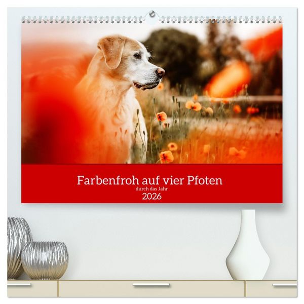 Farbenfroh auf vier Pfoten durch das neue Jahr (hochwertiger Premium Wandkalender 2026 DIN A2 quer), Kunstdruck in Hochglanz