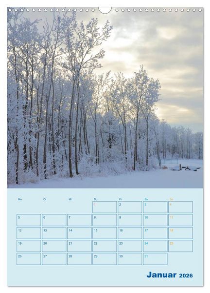 Produktbild: Wald- und Wiesenkalender 2026 Planer (Wandkalender 2026 DIN A3 hoch), CALVENDO Monatskalender