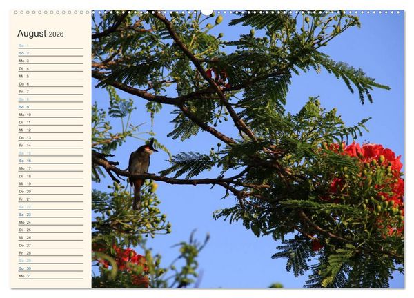 Produktbild: Mauritius - traumhaft und unvergesslich (Wandkalender 2026 DIN A2 quer), CALVENDO Monatskalender