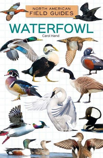 Produktbild: Waterfowl