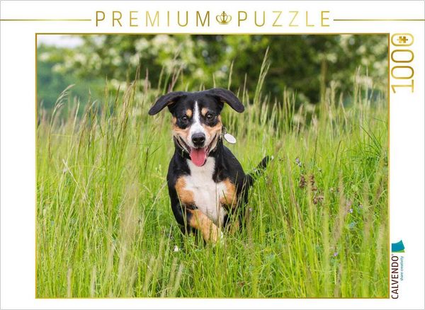 CALVENDO Puzzle Im hohen Gras | 1000 Teile Lege-Größe 64x48cm Foto-Puzzle für glückliche Stunden