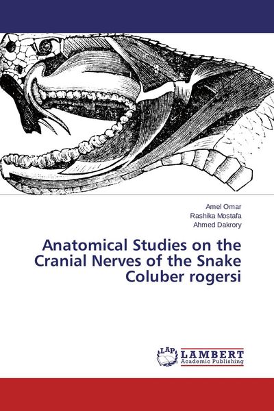 Produktbild: Anatomical Studies on the Cranial Nerves of the Snake Coluber rogersi