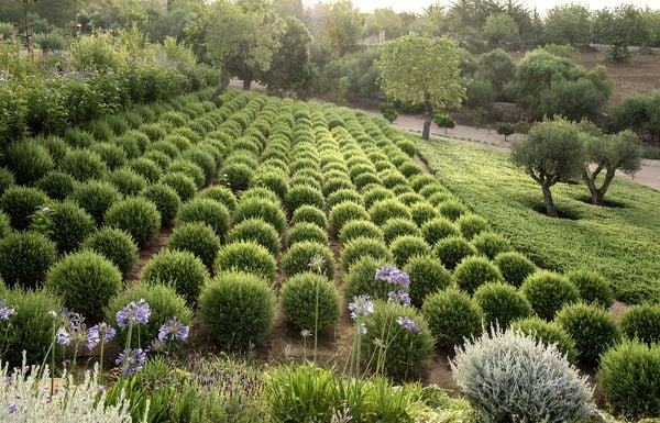Produktbild: Moderne Gartenkonzepte