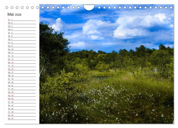 Produktbild: Worpswede - Natursch&ouml;nheiten im Teufelsmoor (Wandkalender 2026 DIN A4 quer), CALVENDO Monatskalender