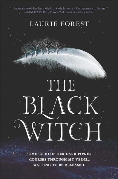 Book cover of The Black Witch