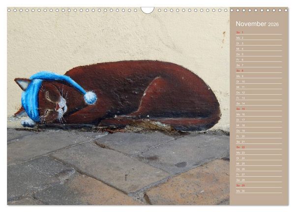 Produktbild: Flensburger Katzen (Wandkalender 2026 DIN A3 quer), CALVENDO Monatskalender