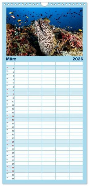 Produktbild: Familienplaner 2026 - Faszinierende Meereswelt der Malediven mit 5 Spalten (Wandkalender, 21 x 45 cm) CALVENDO