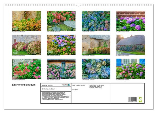 Produktbild: Ein Hortensientraum (Wandkalender 2026 DIN A2 quer), CALVENDO Monatskalender
