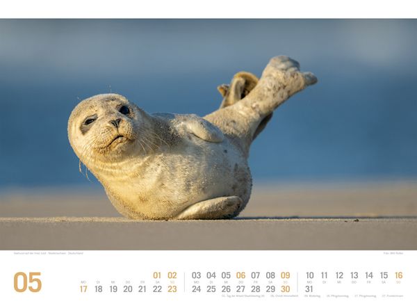 Produktbild: Nordsee ReiseLust Kalender 2027 | von Ostfriesland bis nach Sylt