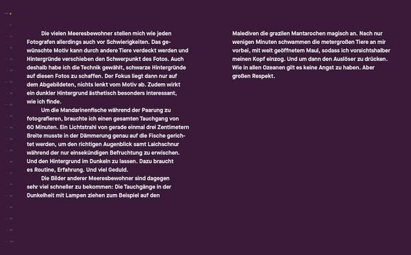 Produktbild: Geheimnisvolle Sch&ouml;nheiten