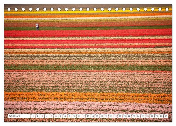 Produktbild: Die ganze Vielfalt der Niederlande (Tischkalender 2026 DIN A5 quer), CALVENDO Monatskalender