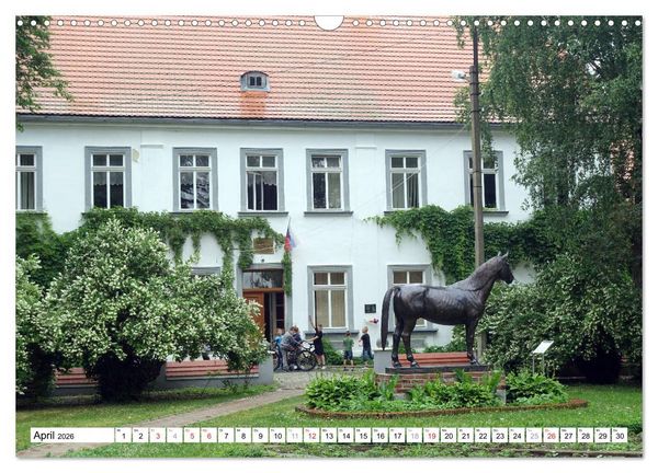 Produktbild: Mythos Trakehnen - Paradies ohne Pferde (Wandkalender 2026 DIN A3 quer), CALVENDO Monatskalender