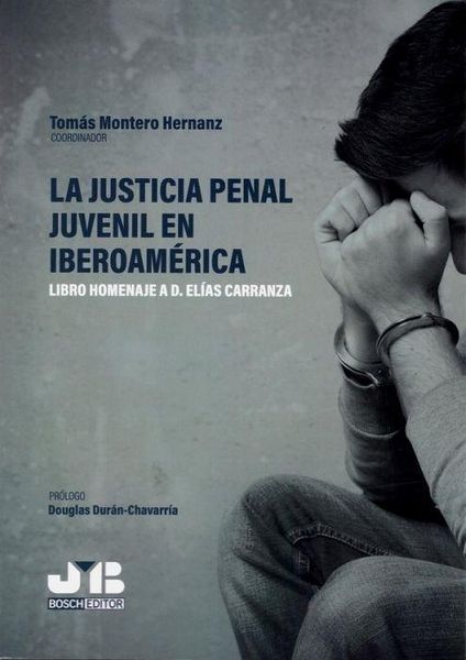 Produktbild: La justicia penal juvenil en Iberoam&eacute;rica : libro homenaje a D. El&iacute;as Carranza