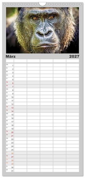 Produktbild: Familienplaner 2027 - Die Augen der Wildnis mit 5 Spalten (Wandkalender, 21 x 45 cm) CALVENDO