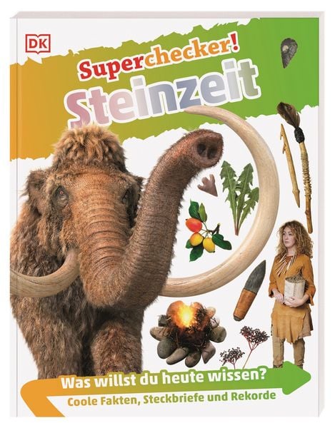 Produktbild: Superchecker! Steinzeit