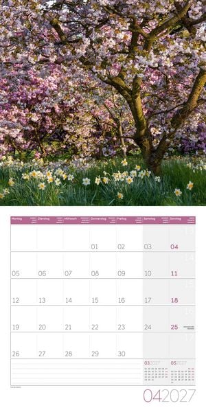 Produktbild: In meinem Garten Kalender 2027 - 30x30 - Art12