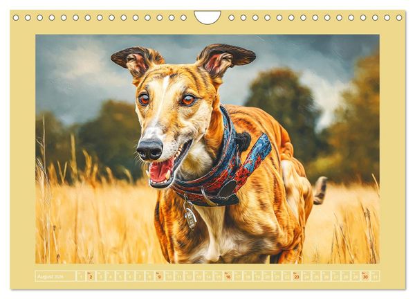Produktbild: Windhunde. Seelenfl&uuml;sterer zwischen Anmut, Tempo und Stille (Wandkalender 2026 DIN A4 quer), CALVENDO Monatskalender