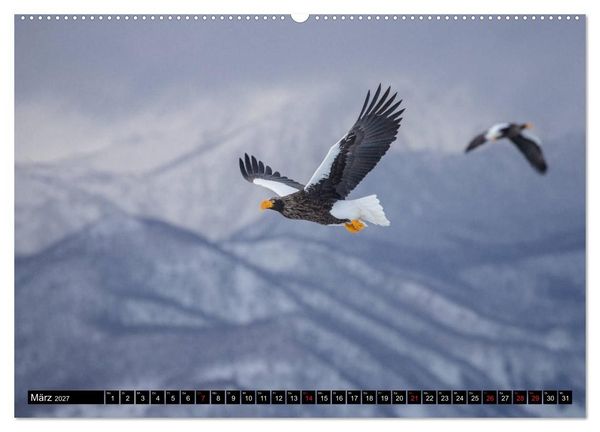 Produktbild: Japanische Vogelwelt im Winter (hochwertiger Premium Wandkalender 2027 DIN A2 quer), Kunstdruck in Hochglanz