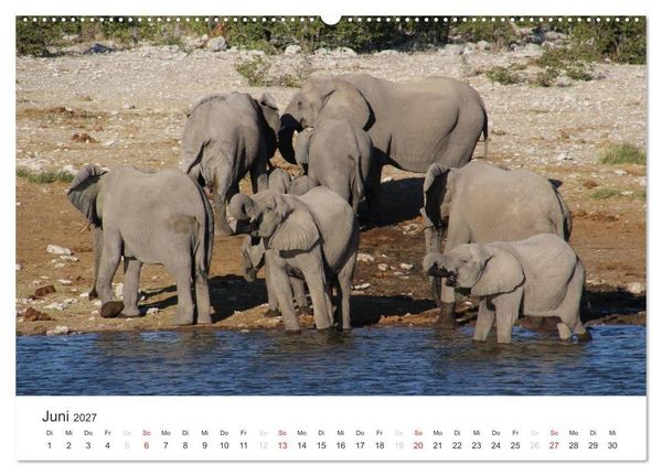 Produktbild: Namibia - Tierische Vielfalt (Wandkalender 2027 DIN A2 quer), CALVENDO Monatskalender