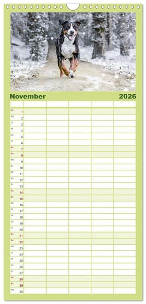 Produktbild: Familienplaner 2026 - Gro&szlig;e Schweizer - Gigantische Sennenhunde mit 5 Spalten (Wandkalender, 21 x 45 cm) CALVENDO