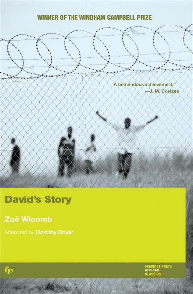 Produktbild: David's Story