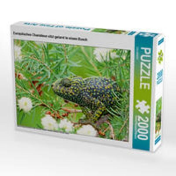 CALVENDO Puzzle Europäisches Chamäleon sitzt getarnt in einem Busch. | 2000 Teile Lege-Größe 90x67cm Foto-Puzzle für glückliche Stunden