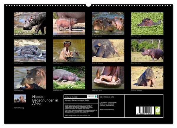 Produktbild: Hippos - Begegnungen in Afrika (hochwertiger Premium Wandkalender 2027 DIN A2 quer), Kunstdruck in Hochglanz