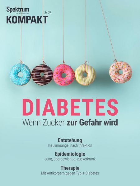Produktbild: Spektrum Kompakt - Diabetes