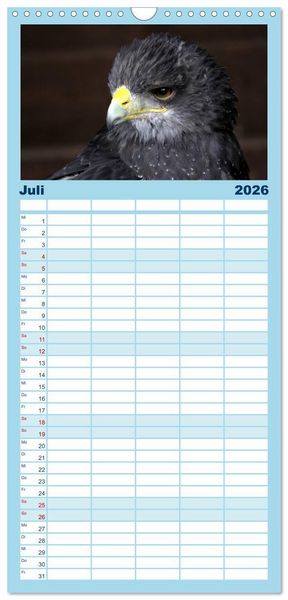 Produktbild: Familienplaner 2026 - Greifv&ouml;gel, Eulen und K&auml;uze mit 5 Spalten (Wandkalender, 21 x 45 cm) CALVENDO