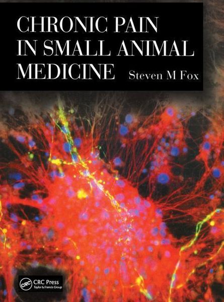 Produktbild: M. Fox, S: Chronic Pain in Small Animal Medicine