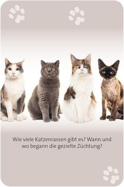 Produktbild: Das gro&szlig;e Katzen Quiz
