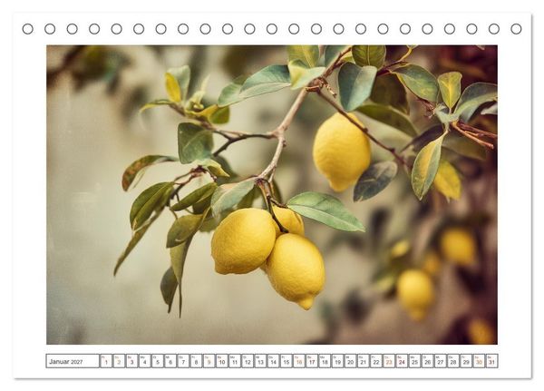Produktbild: Mediterrane Zitronentr&auml;ume (Tischkalender 2027 DIN A5 quer), CALVENDO Monatskalender
