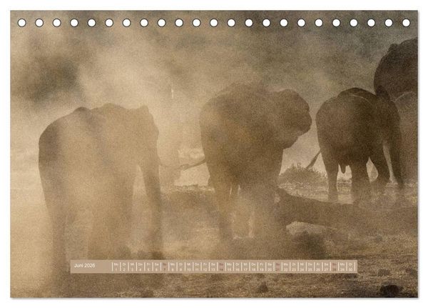 Produktbild: Afrikas Tierwelt - Wilde Elefanten (Tischkalender 2026 DIN A5 quer), CALVENDO Monatskalender