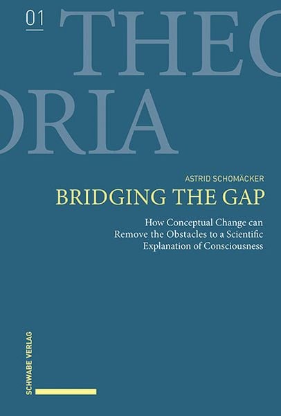 Produktbild: Bridging the Gap