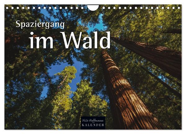 Produktbild: Spaziergang im Wald (Wandkalender 2027 DIN A4 quer), CALVENDO Monatskalender
