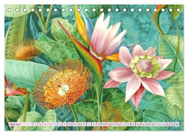Produktbild: Exotische Pflanzenwelt - Illustrationen (Tischkalender 2027 DIN A5 quer), CALVENDO Monatskalender
