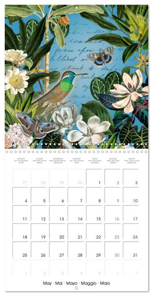 Produktbild: Lovely hummingbirds (Wall Calendar 2026 12 &times; 12 Inch) CALVENDO 12 Month Wall Calendar