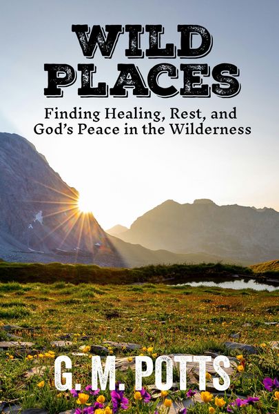 Produktbild: Wild Places