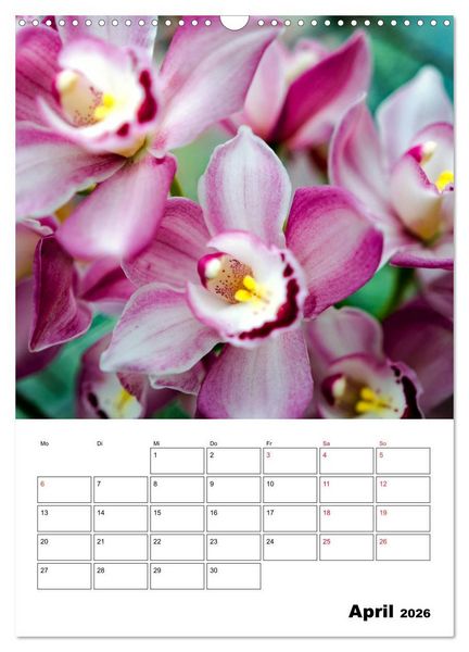 Produktbild: Orchideen - Tropische Sch&ouml;nheiten (Wandkalender 2026 DIN A3 hoch), CALVENDO Monatskalender