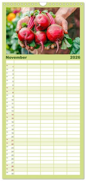 Produktbild: Familienplaner 2026 - Mein Gem&uuml;segarten - Ein Jahr knackig frisches Gem&uuml;se mit 5 Spalten (Wandkalender, 21 x 45 cm) CALVENDO