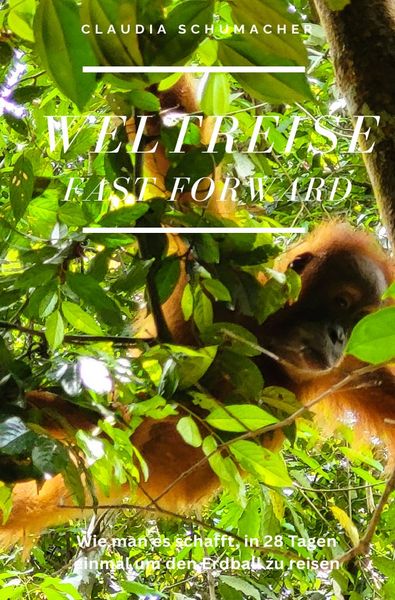 Produktbild: WELTREISE fast forward