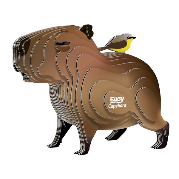 Produktbild: EUGY - 3D Bastelset Wasserschwein