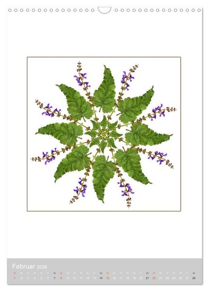 Produktbild: Pflanzen - Mandalas aus Bl&uuml;ten und Bl&auml;ttern (Wandkalender 2026 DIN A3 hoch), CALVENDO Monatskalender