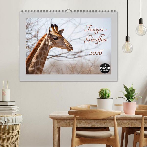Produktbild: Twigas - Giraffen (Wandkalender 2026 DIN A2 quer), CALVENDO Monatskalender